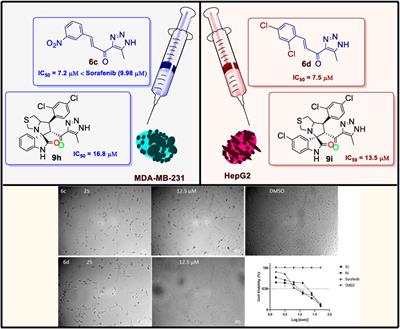 Novel spirooxindole-triazole derivatives: unveiling [3+2] cycloaddition reactivity through molecular electron density theory and investigating their potential cytotoxicity against HepG2 and MDA-MB-231 cell lines